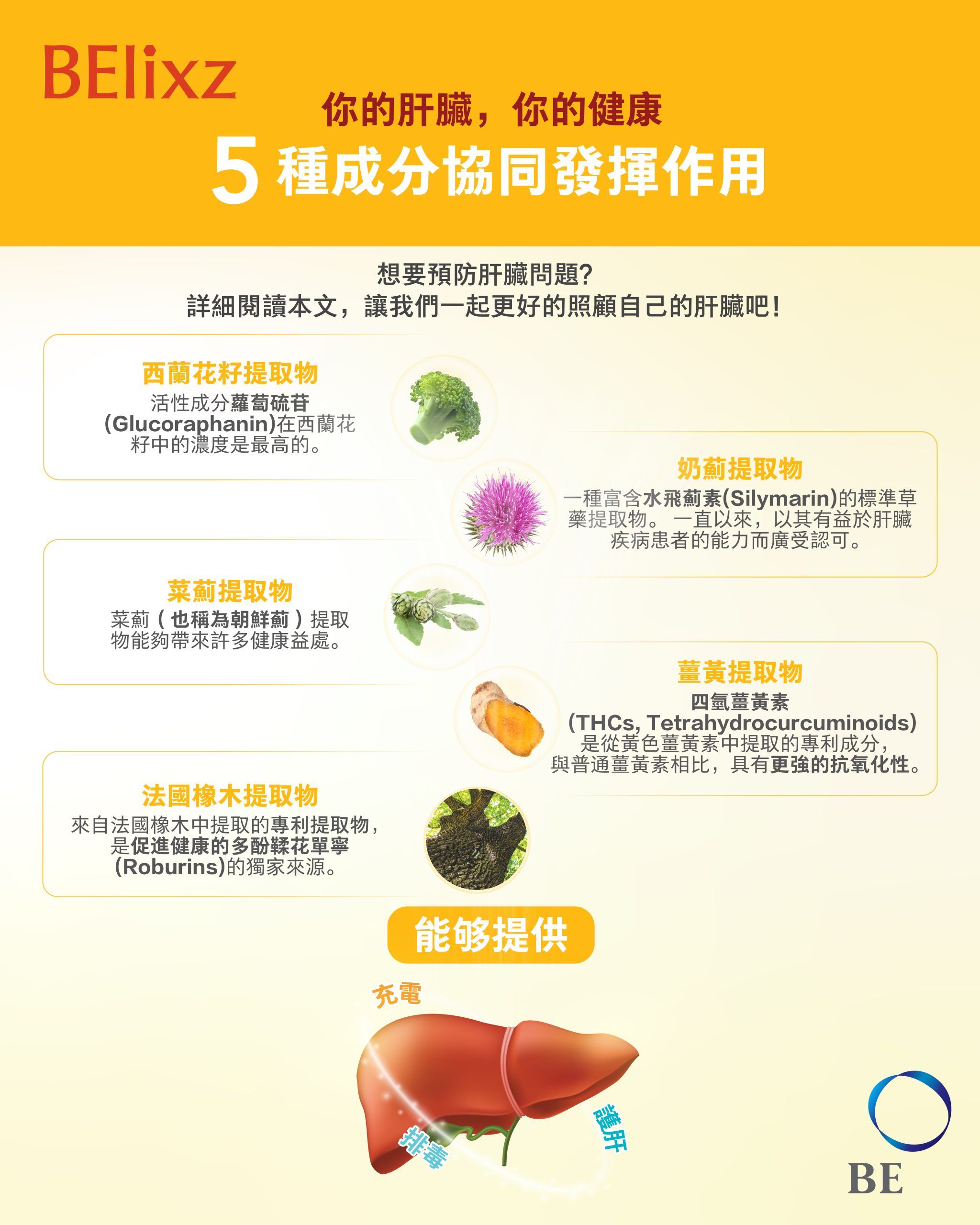 如何打造健康肝臟？5種有助於肝臟健康的成分