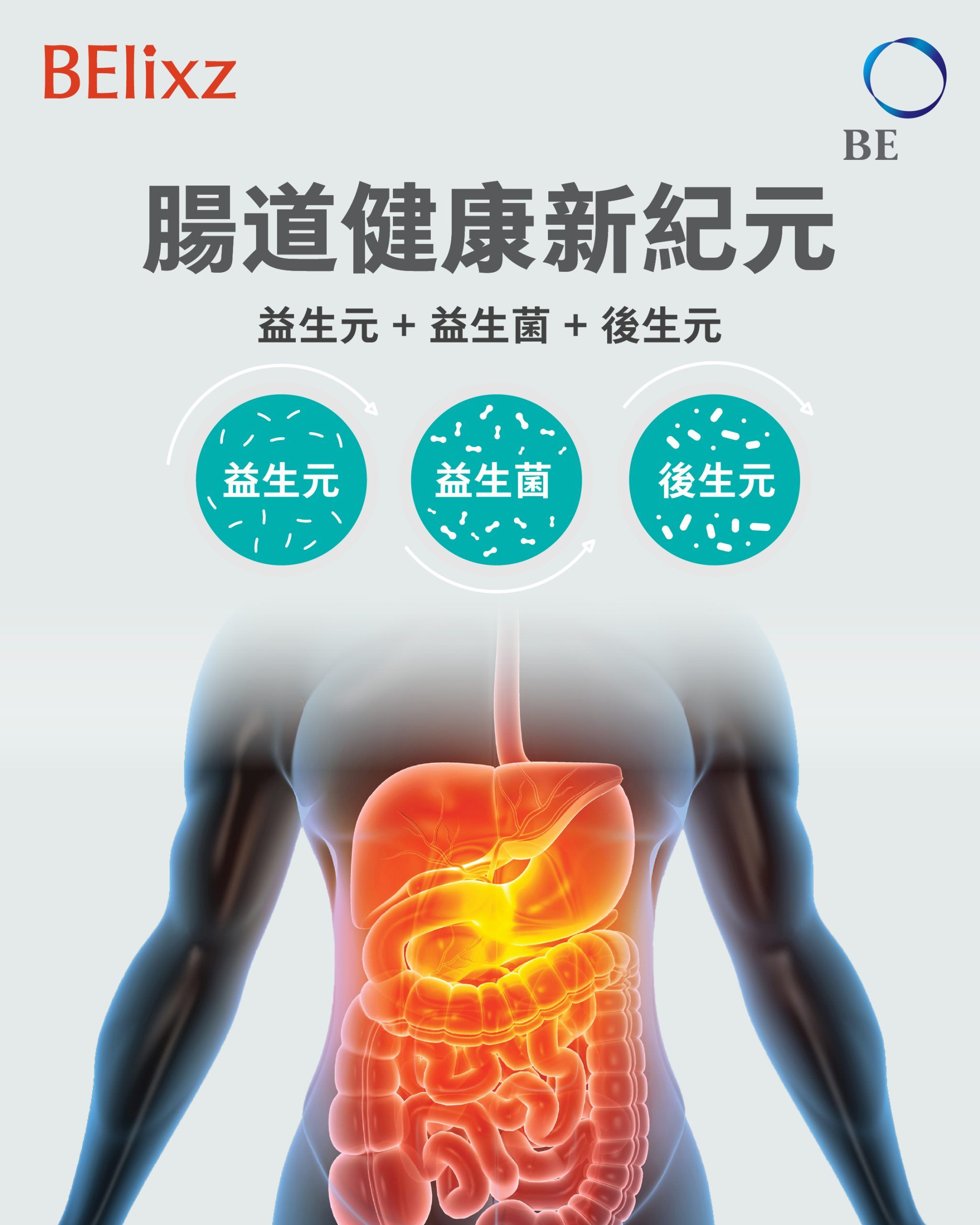 益生元、益生菌與後生元如何改善腸道健康
