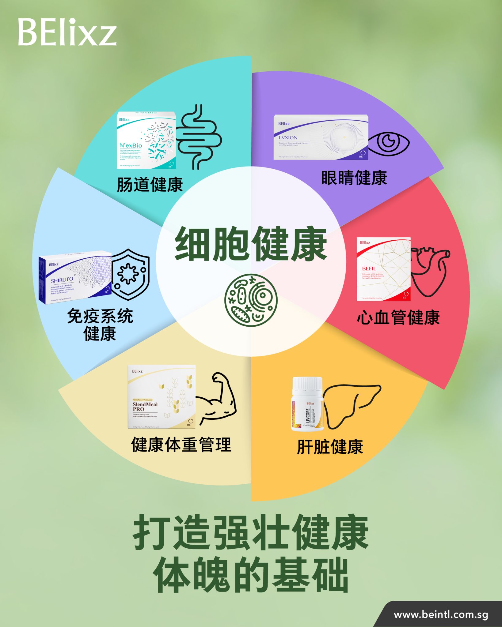 2026 BE 健康研讨会 (SG &amp; BN) 回顾：迈向更健康的自己