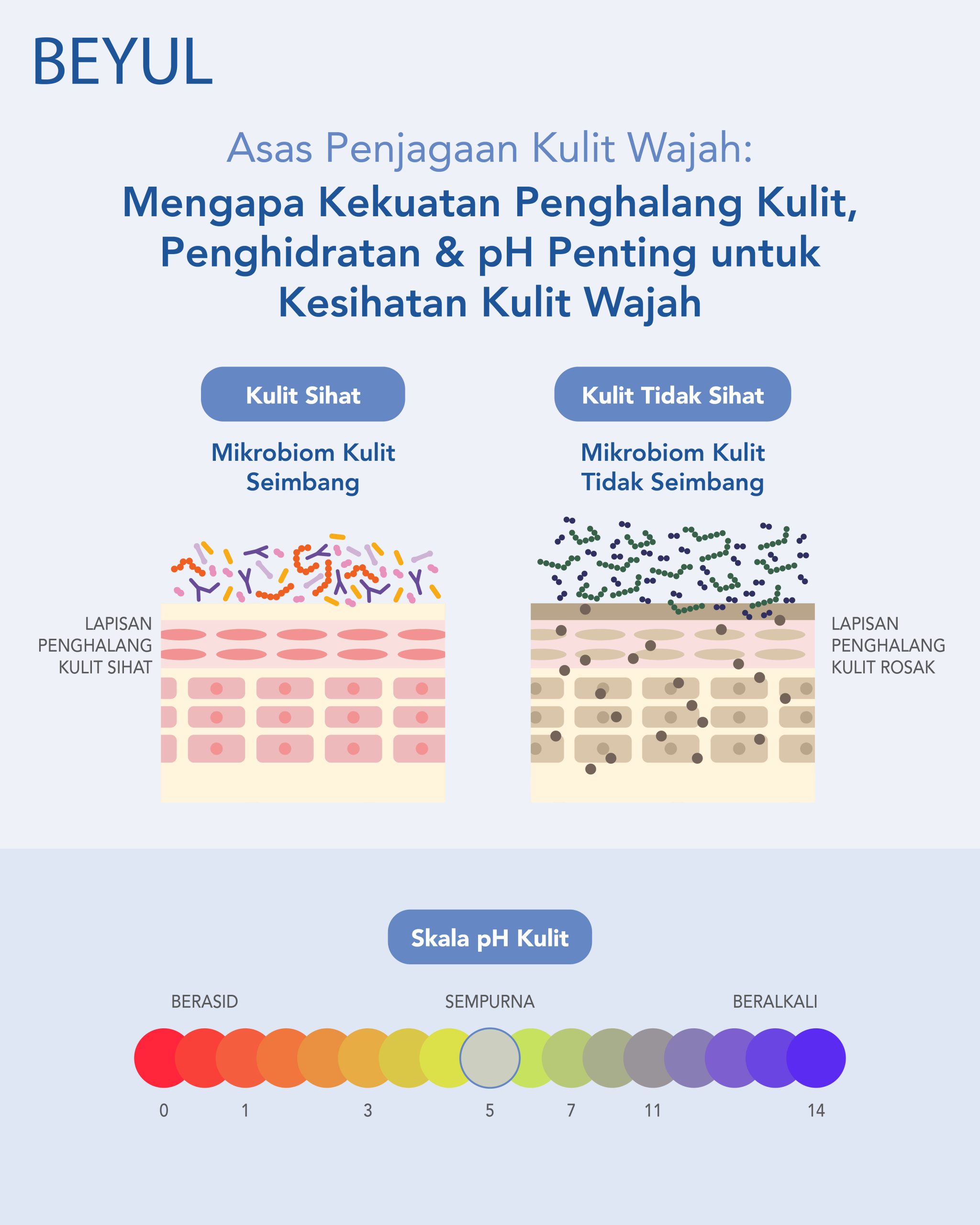 Asas Kulit: Mengapa kekuatan lapisan pelindung kulit, Penghidratan &amp; pH Penting untuk Kesihatan Kulit 