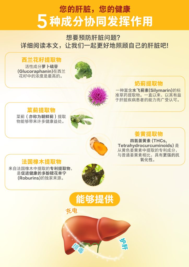 如何打造健康肝脏？5种有助于肝脏健康的成分