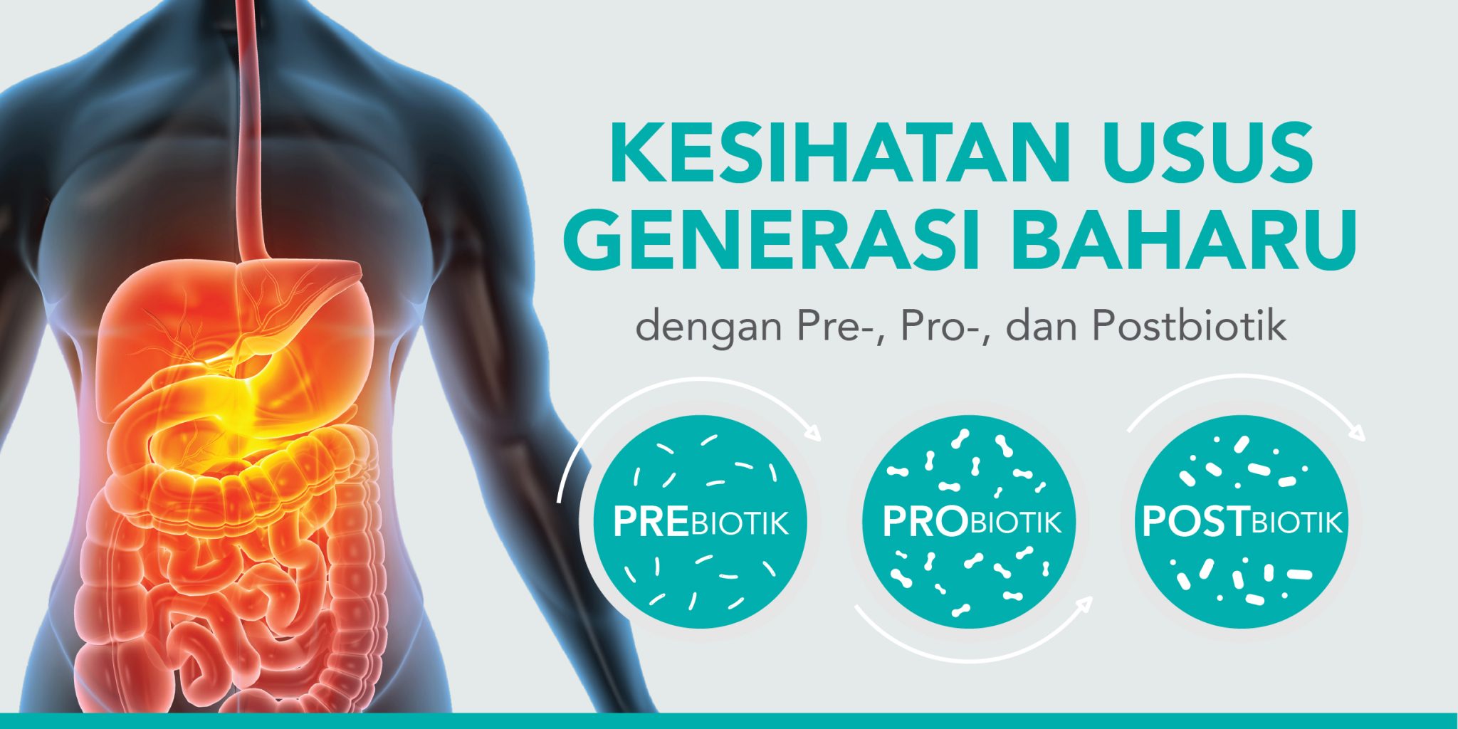 Pre-, Pro-, dan Postbiotik: Kesihatan Usus Generasi Baharu