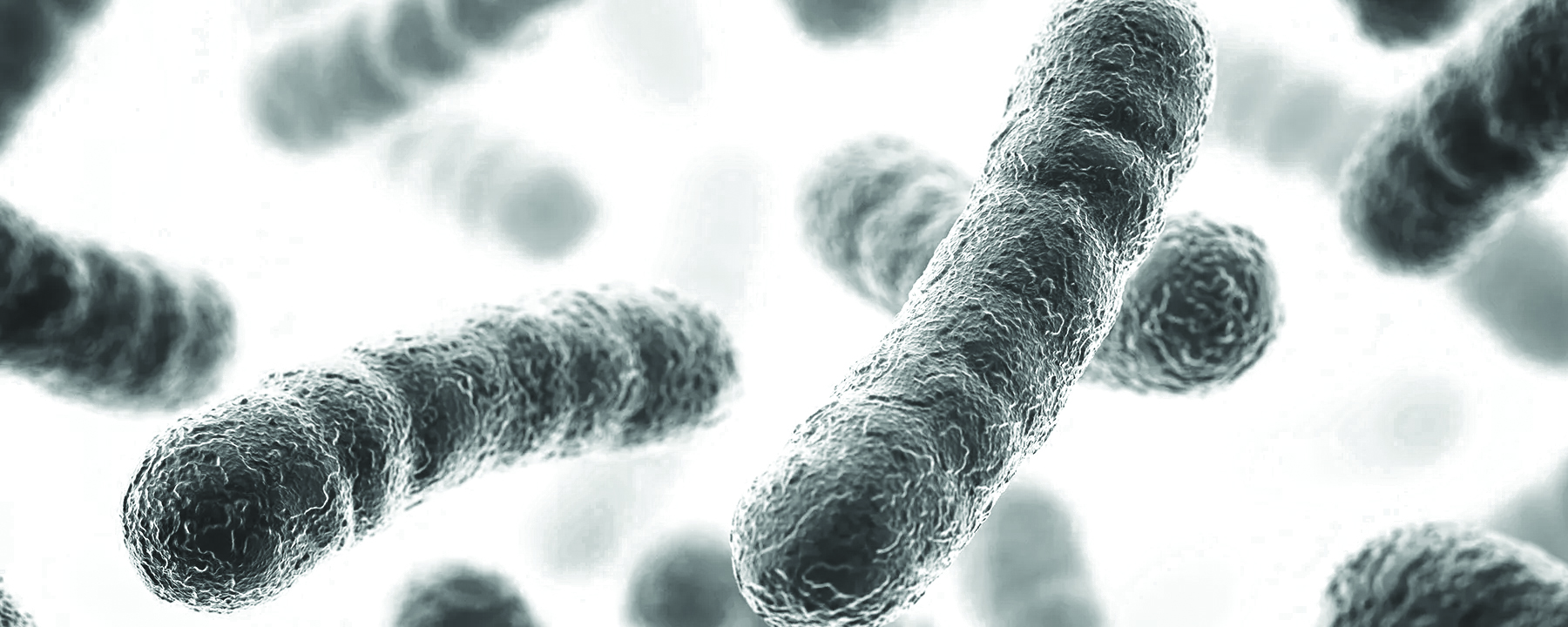 BElixz N’exBio - BE International