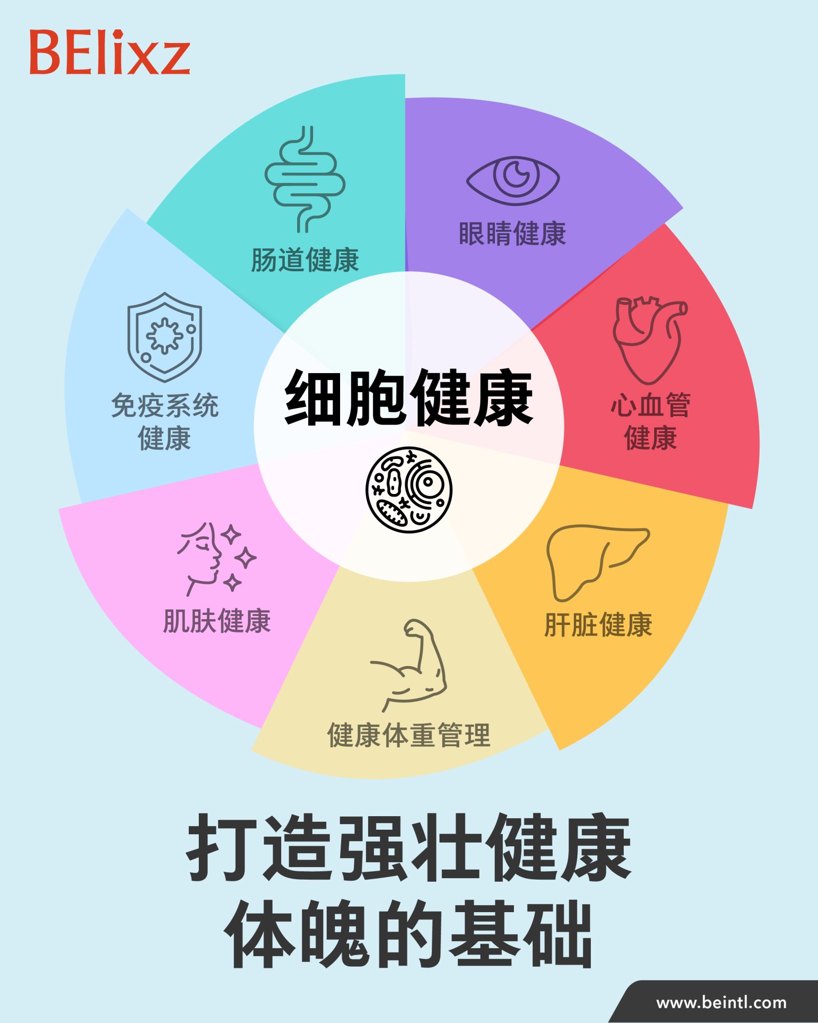 BE健康研讨会2025总结：BElixz, 你的日常健康指南
