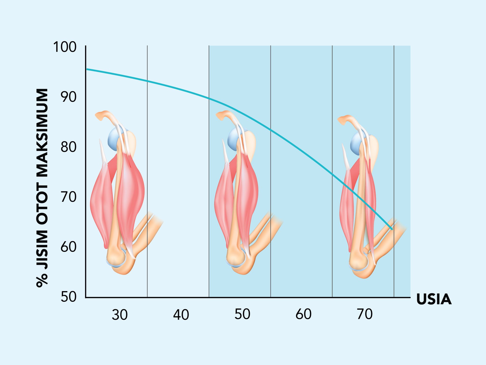 Fakta Otot Yang Gen Z Tak Boleh Abaikan