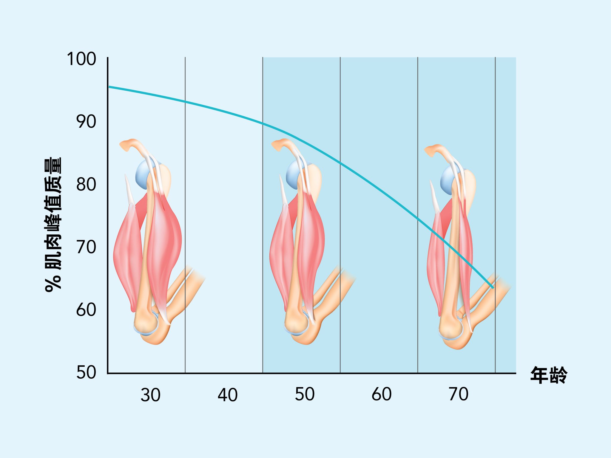 年轻 ≠ 无敌：Z 世代的肌肉流失真相