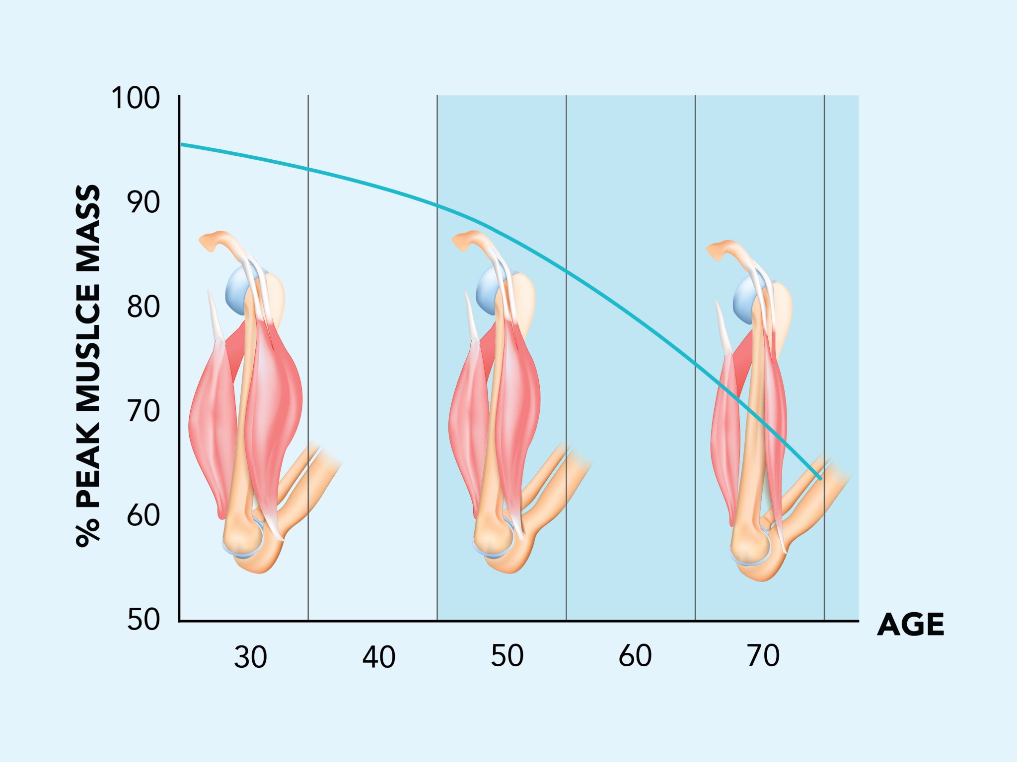 The Muscle Truth Gen Z Can’t Ignore