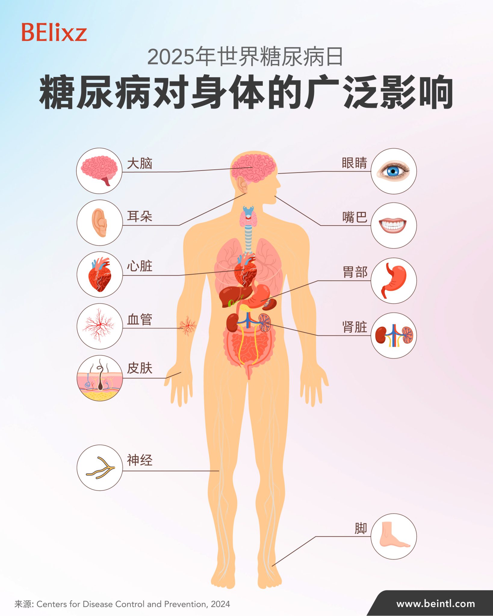 2025年世界糖尿病日: 糖尿病对身体的广泛影响