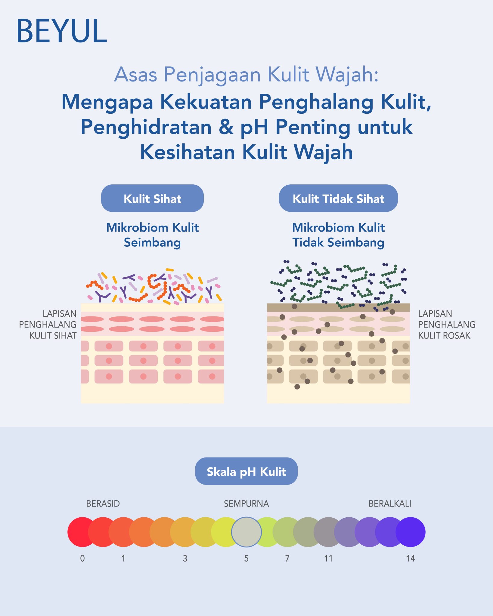 Asas Kulit: Mengapa kekuatan lapisan pelindung kulit, Penghidratan & pH Penting untuk Kesihatan Kulit