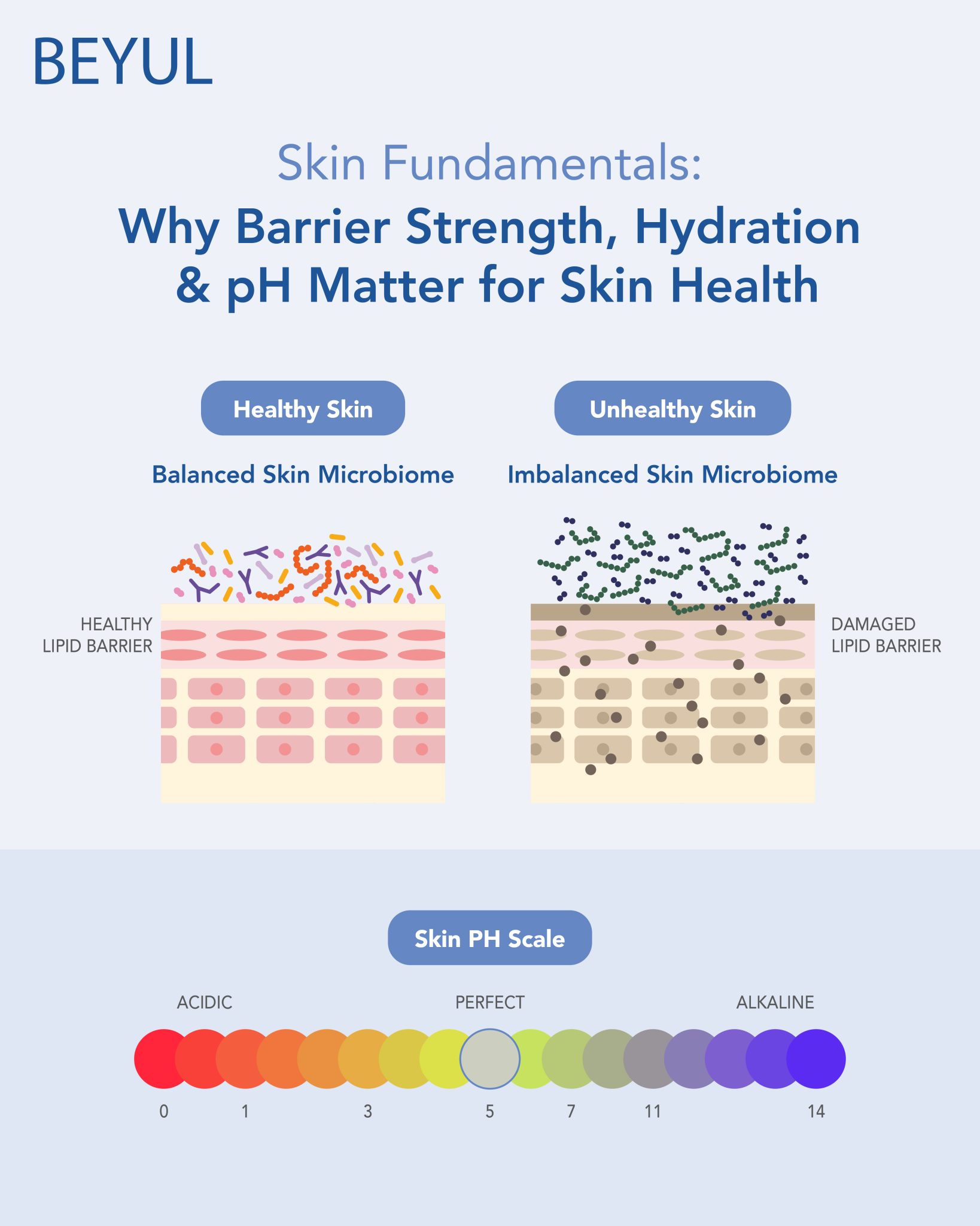 Skin Fundamentals: Why Barrier Strength, Hydration & pH Matter for Skin Health