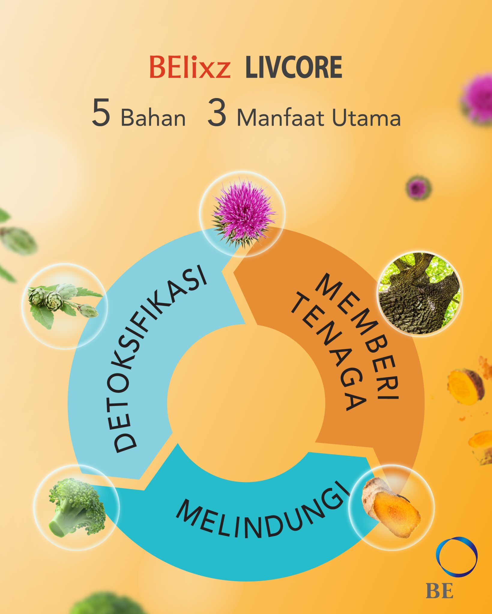 Panduan BElixz LIVCORE: Sokongan Semula Jadi untuk Hati, Bahan & Manfaat