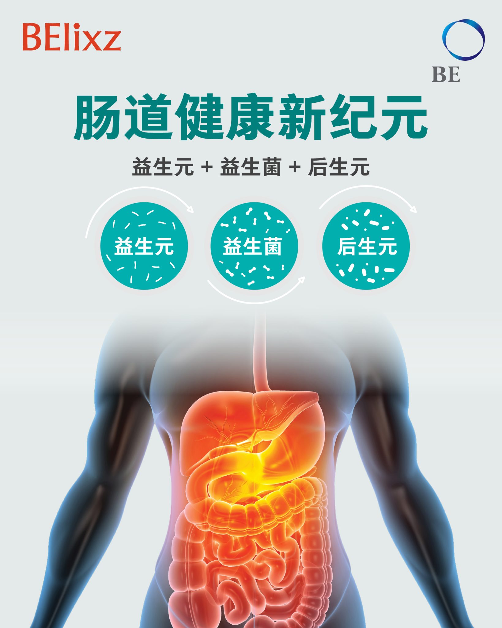 益生元、益生菌与后生元如何改善肠道健康
