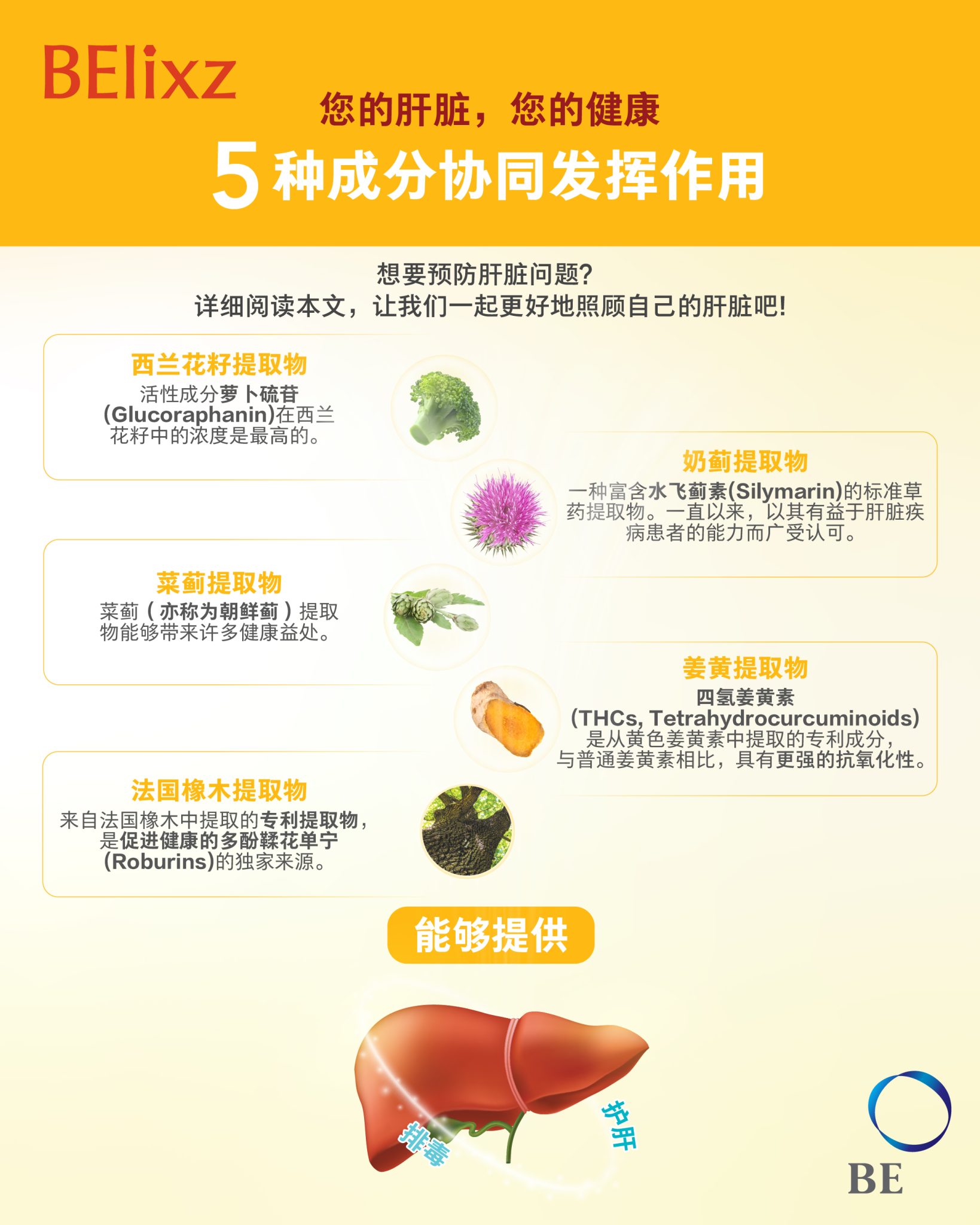 如何打造健康肝脏？5种有助于肝脏健康的成分