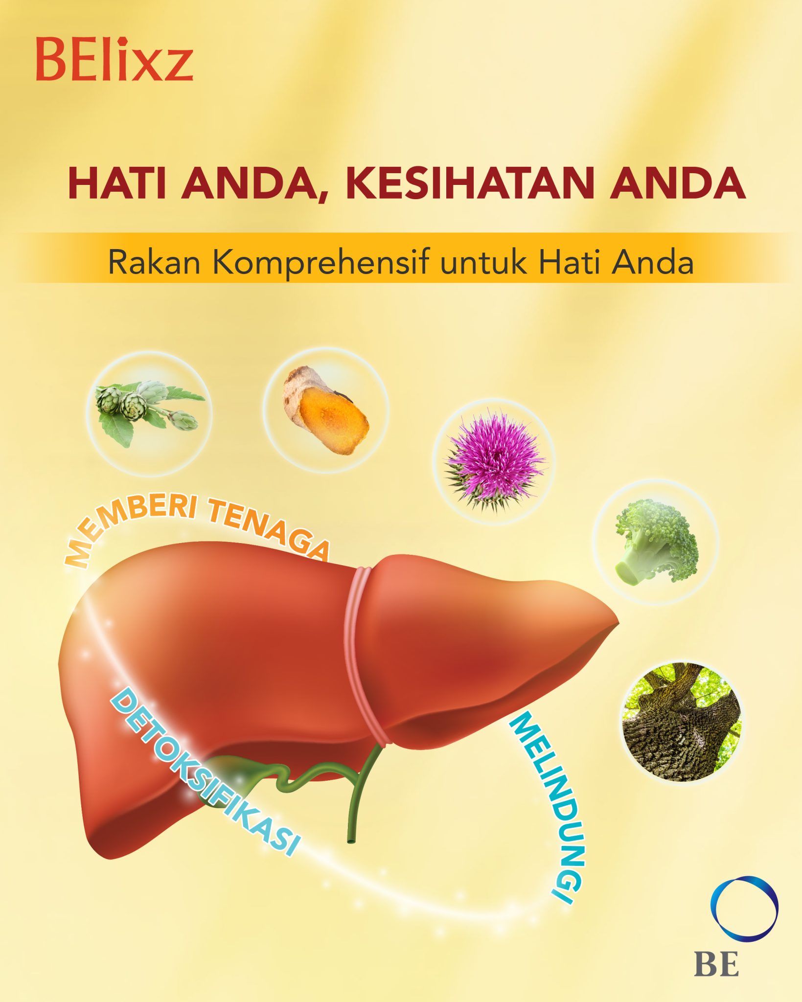 Hati Anda, Kesihatan Anda. Rakan Setia Untuk Kesihatan Hati Menyeluruh