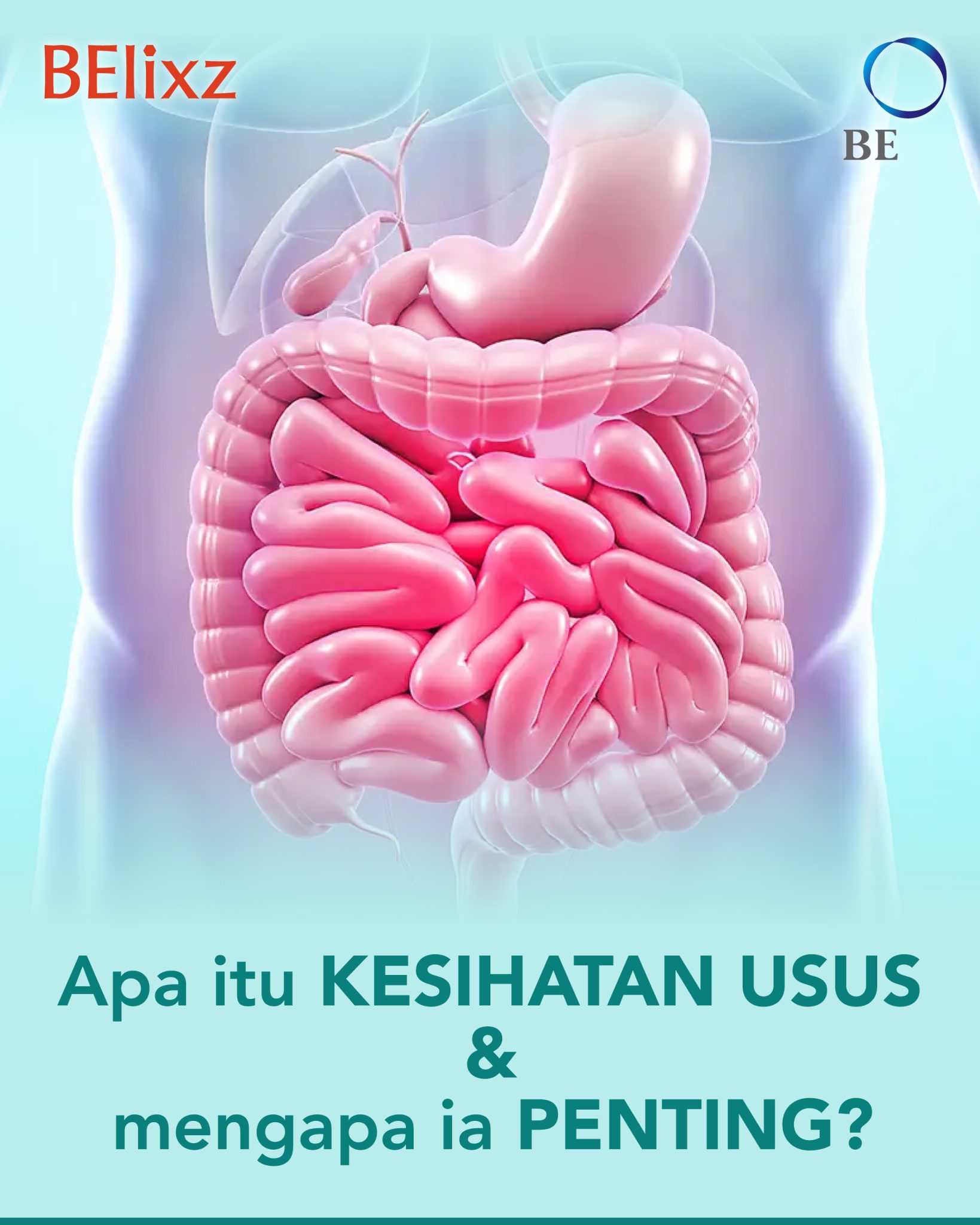 Adakah Usus Anda Sedang Menjejaskan Kesihatan Anda?